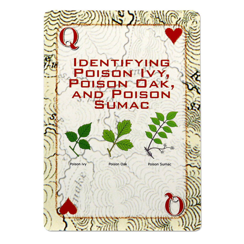 Quake Kits Survival Playing Cards | Essential Skills on Every Card